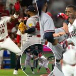 Braves e Angels dão socos em uma briga selvagem para limpar bancos