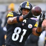Former Pittsburgh Steelers TE Jonnu Smith