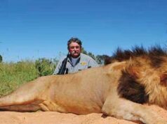 Caçador de troféus milionário dos EUA é morto por manada de elefantes Ernie Dosio foi pisoteado até a morte por uma manada de elefantes.