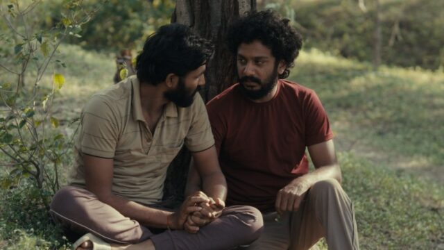 'Cactus Pears', vencedor do Grande Prêmio do Júri de Sundance, 'Cactus Pears', vencedor do Grande Prêmio do Júri de Sundance, apresenta lançamento teatral no Reino Unido e na Irlanda (EXCLUSIVO)