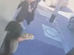 Café faz apelo depois que CCTV mostra mulher quebrando prato na cara de garçonete Café faz apelo depois que CCTV mostra mulher quebrando prato na cara de garçonete