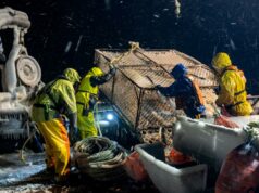 Causa da morte da estrela de ‘Deadliest Catch’ Todd Meadows revelada Causa da morte da estrela de 'Deadliest Catch' Todd Meadows revelada