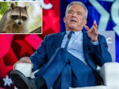 Certa vez, RFK Jr. cortou o pênis de um guaxinim morto para ‘estudar mais tarde’ durante uma viagem em família Robert F. Kennedy, secretário do Departamento de Saúde e Serviços Humanos, discursa na Conferência de Ação Política Conservadora (CPAC).