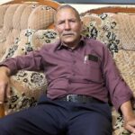 oliveiras com edifícios ao fundo