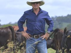 ‘Chamado de despertar’: como a crise global pode ser um catalisador para remodelar o nosso abastecimento alimentar 'Chamado de despertar': como a crise global pode ser um catalisador para remodelar o nosso abastecimento alimentar