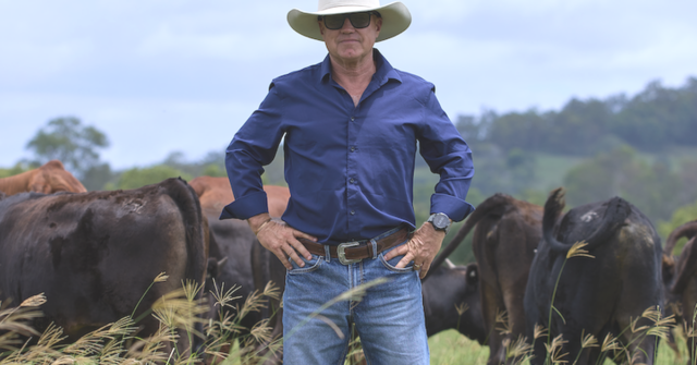 'Chamado de despertar': como a crise global pode ser um catalisador para remodelar o nosso abastecimento alimentar
