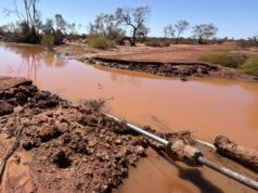 Ciclone Narelle deixa Upper Gascoyne com conta de reparo de estradas de até US$ 10 milhões Ciclone Narelle deixa Upper Gascoyne com conta de reparo de estradas de até US$ 10 milhões