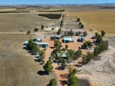 Começando a trabalhar com a venda recente no sudeste de Wheatbelt Começando a trabalhar com a venda recente no sudeste de Wheatbelt