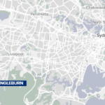 Um gato da Community Helping Campbelltown Cats.