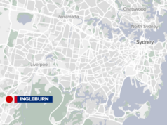 Comedouros de gatos vadios são agredidos e ficam inconscientes no oeste de Sydney Um gato da Community Helping Campbelltown Cats.