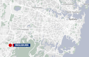 Comedouros de gatos vadios são agredidos e ficam inconscientes no oeste de Sydney Um gato da Community Helping Campbelltown Cats.