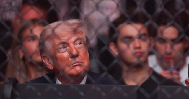 Comentário: Trump posta 'Louvado seja Alá', um elogio ao papa e uma imagem de si mesmo como Cristo. Não, não é nada estranho
