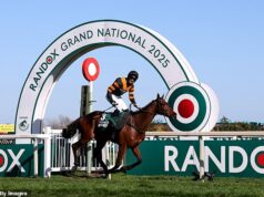 Como NÃO apostar no Grand National: por que escolher um cavalo com o seu nome ou com o de um parente provavelmente não valerá a pena O vencedor do ano passado, Nick Rockett, montado por Patrick Mullins. No entanto, os livros dos recordes mostram que ter uma vibração em um cavalo com nome humano talvez não seja a aposta mais segura