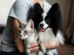 Como as pessoas acabam com gatos versus cães se torna viral por um motivo hilariante Como as pessoas acabam com gatos versus cães se torna viral por um motivo hilariante