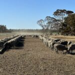 Como este sistema de alimentação de contenção se pagou em apenas dois anos