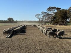 Como este sistema de alimentação de contenção se pagou em apenas dois anos Como este sistema de alimentação de contenção se pagou em apenas dois anos