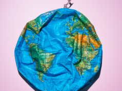 Como o baixo desperdício me ajudou a proteger minha paz em um mundo cheio de caos Gato passando pela lixeira de reciclagem de alimentos da fábrica