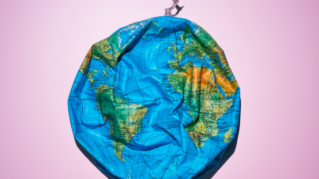 Gato passando pela lixeira de reciclagem de alimentos da fábrica