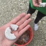 minha mão segurando um grande pacote de mosquitos