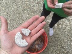 Configure este ‘balde mortal de mosquito’ agora minha mão segurando um grande pacote de mosquitos