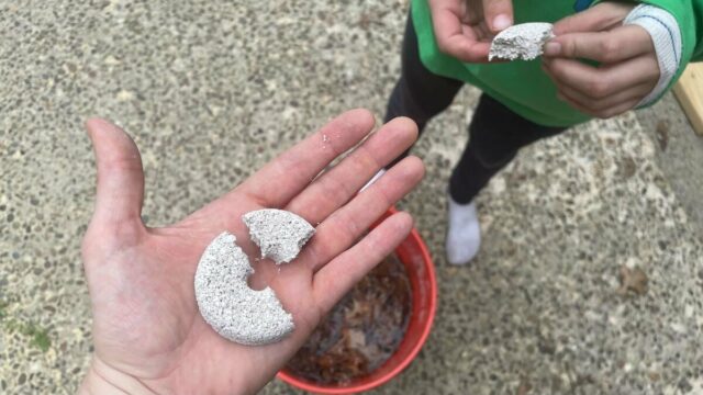 minha mão segurando um grande pacote de mosquitos