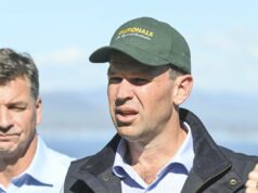 Contando os dias: combustíveis com demanda por diesel impulsionam a expansão da capacidade de armazenamento Contando os dias: combustíveis com demanda por diesel impulsionam a expansão da capacidade de armazenamento