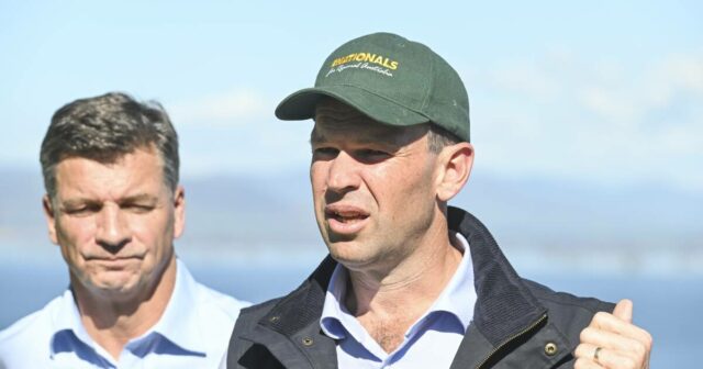 Contando os dias: combustíveis com demanda por diesel impulsionam a expansão da capacidade de armazenamento
