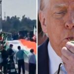 Correntes humanas se formam após ameaça assustadora de Trump