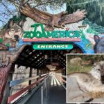 Entrada para o ZooAmerica North American Wildlife Park, com esculturas de um lobo, uma águia e um urso.