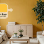 Daftar 10 Cat Rumah Terbaik na Indonésia