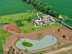 David e Victoria Beckham vencem a disputa de planejamento para plantar florestas em sua luxuosa casa de £ 6,15 milhões em Cotswolds, após serem alvo de gangues de ladrões David e Victoria Beckham receberam luz verde para criar uma extensa floresta em meio a recentes preocupações de segurança em sua luxuosa casa em Cotswolds