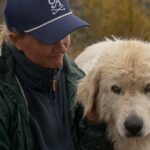 Década de dados: o plano guardião para treinar os cães mais bem-sucedidos