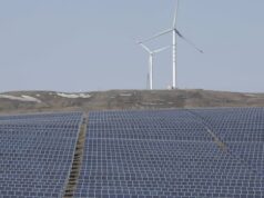 Do deserto de Gobi ao norte do Canadá: este visionário chinês aposta na IA para impulsionar o futuro deste país Lei Zhang é cofundador da Envision Energy, com sede em Xangai, o segundo maior produtor mundial de turbinas eólicas.