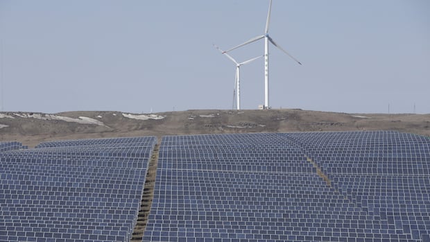 Do deserto de Gobi ao norte do Canadá: este visionário Lei Zhang é cofundador da Envision Energy, com sede em Xangai, o segundo maior produtor mundial de turbinas eólicas.