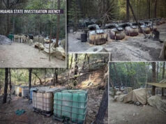 Dois agentes da CIA mortos em acidente de carro após operação antidrogas no México Yahoo news home