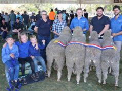Dois garanhões compartilham as principais honras de julgamento na Williams Gateway Expo deste ano Dois garanhões compartilham as principais honras de julgamento na Williams Gateway Expo deste ano