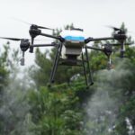 Drone Misterius Terdeteksi de Kediaman Ratu Beatrick e Tempat Brankas Emas Belanda