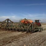 É arriscado fazer uma colheita, mas é mais arriscado não fazê-lo, dizem alguns agricultores de Broadacre