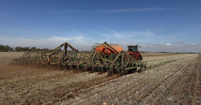 É arriscado fazer uma colheita, mas é mais arriscado não fazê-lo, dizem alguns agricultores de Broadacre

