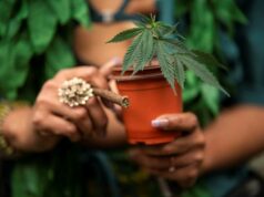 EUA devem tomar medidas para reclassificar a maconha já na quarta-feira, relata Axios Yahoo news home