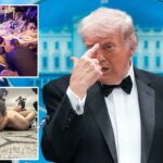 Educadores condenados e demitidos depois que postagens expressam decepção com o fato de Trump ter sobrevivido ao tiroteio no jantar da WHCA