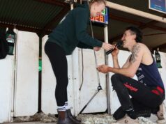 Ela disse SIM! Flecha do Cupido cai no chão de galpão em proposta surpresa Ela disse SIM! Flecha do Cupido cai no chão de galpão em proposta surpresa