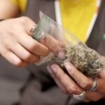 April Ayers, à direita, aconselha Brenda Tsukas sobre quais produtos de cannabis são melhores para o alívio da dor que Tsukas procura. Ayers é dona do Cowboy Kush Dispensary em Broken Arrow, Oklahoma, e diz que seus principais clientes são mulheres com idades entre 45 e 60 anos.