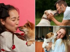 Emprego dos sonhos para amantes de cães? Ganhe US$ 1 mil por hora para beijar caninos e cheirar seu hálito Emprego dos sonhos para amantes de cães? Ganhe US$ 1 mil por hora para beijar caninos e cheirar seu hálito