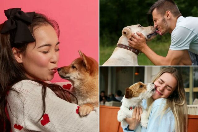 Emprego dos sonhos para amantes de cães? Ganhe US$ 1 Emprego dos sonhos para amantes de cães? Ganhe US$ 1 mil por hora para beijar caninos e cheirar seu hálito