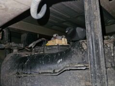 Entrega especial! Bebês pombos encontrados escondidos na van do Royal Mail… e eles ‘estão lá há semanas’ Uma família de pombos foi encontrada escondida em uma fenda estreita debaixo de uma van de entrega do Royal Mail – depois de passar três semanas acompanhando secretamente um motorista