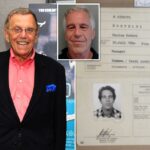 Epstein e seu amigo psiquiatra bilionário enviaram e-mails sobre disfarces e cirurgia plástica para 'evitar problemas', mostram os documentos