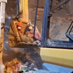 Equipes de resgate procuram sobreviventes após ataques atingirem casas no Irã