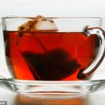 Os saquinhos de chá liberam microplásticos e nanoplásticos na água quente, mesmo aqueles feitos de fibras vegetais