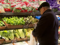 Espera-se que os preços dos alimentos subam 20% à medida que as lojas repassam o custo da guerra Mantimentos